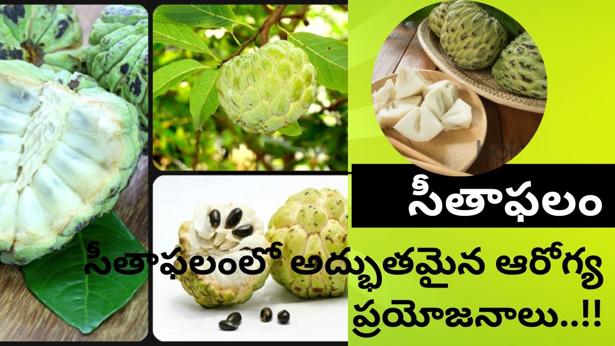 Custard Appleసీతాఫలం సీతాఫలంలో చిన్న చితక కాదు.. అతి పెద్ద ప్రయోజనాలు