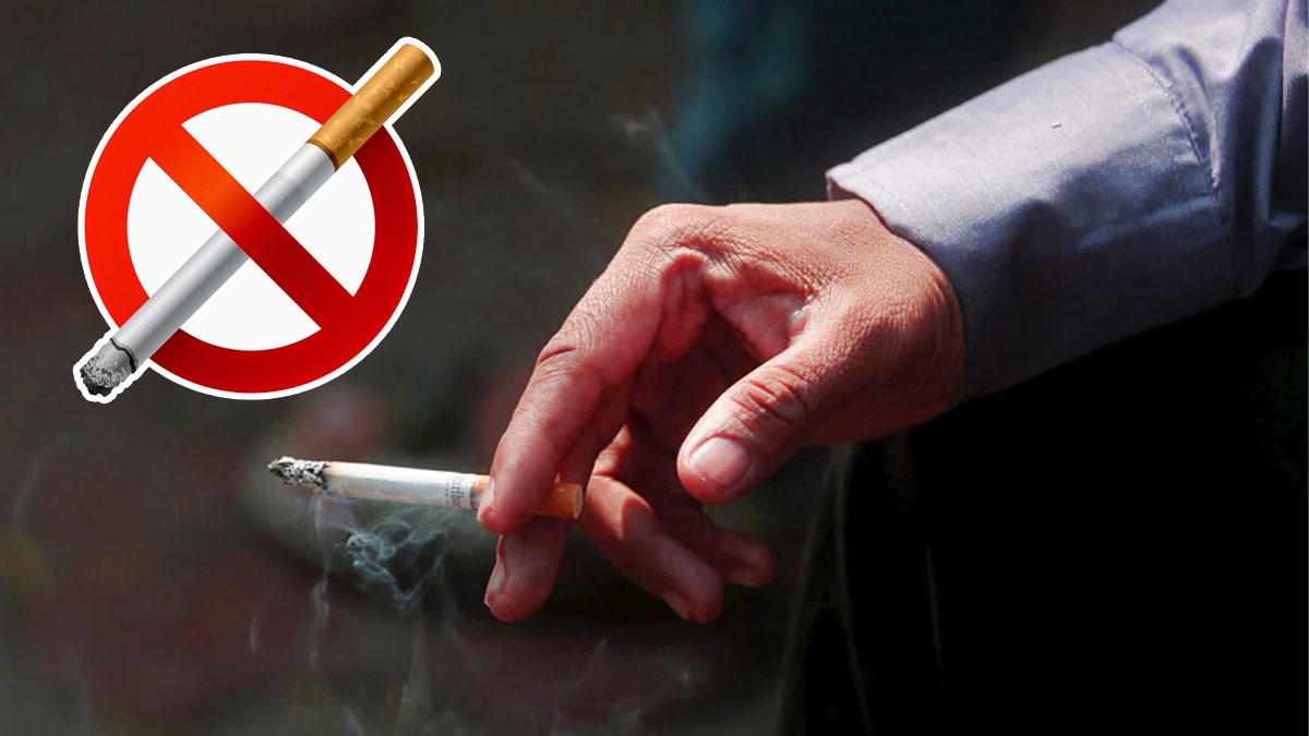 What Will Happen When You Stop Smoking Know The Details Here In Telugu
