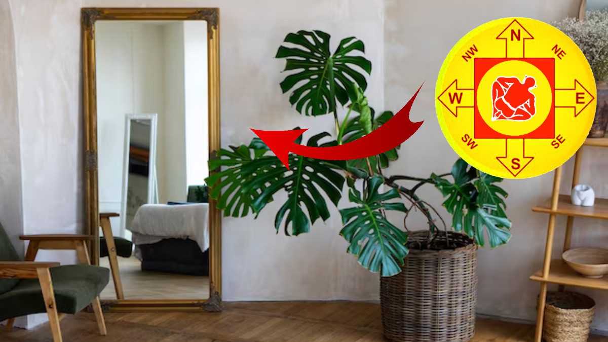 Vastu Tips Keep These Things On North Direction At Home For Financial Abundance In Telugu