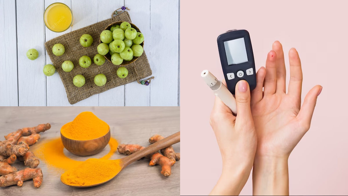 Which Spices And Herbs Are Good For Insulin Sensitivity Resistance In Telugu