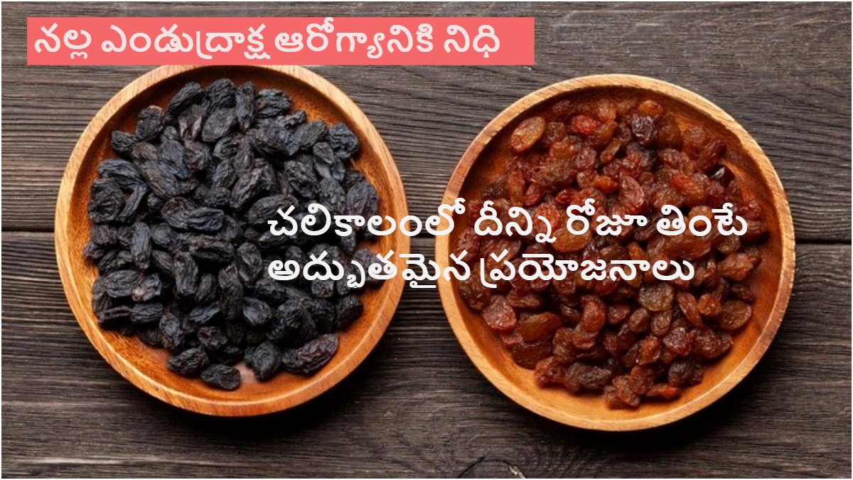 చలికాలంలో నలుపు ఎండు ద్రాక్ష తప్పని సరిగా తినాలి ఎందుకో తెలుసా?ఆశ్చర్యం