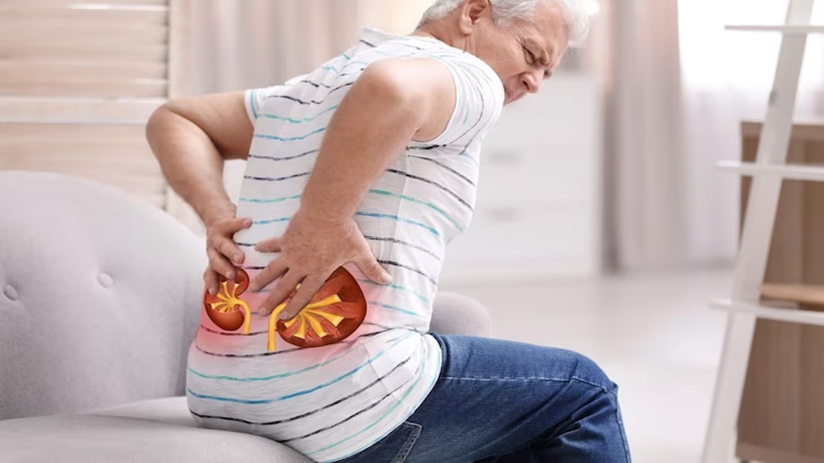 How Do I Stop A Kidney Stone Before It Happens Here Are Doctors Advice