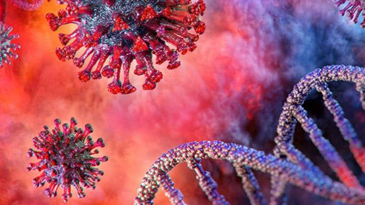 Does Monkeypox Cause Brain Inflammation What The Study Reveals