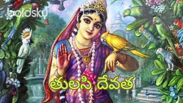 Goddess Tulasi